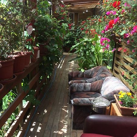Hostal Mi Segundo Hogar กอนเซปซิออน ภายนอก รูปภาพ