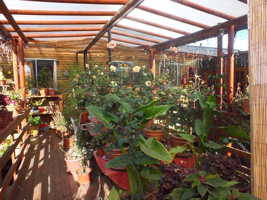 Hostal Mi Segundo Hogar กอนเซปซิออน ภายนอก รูปภาพ