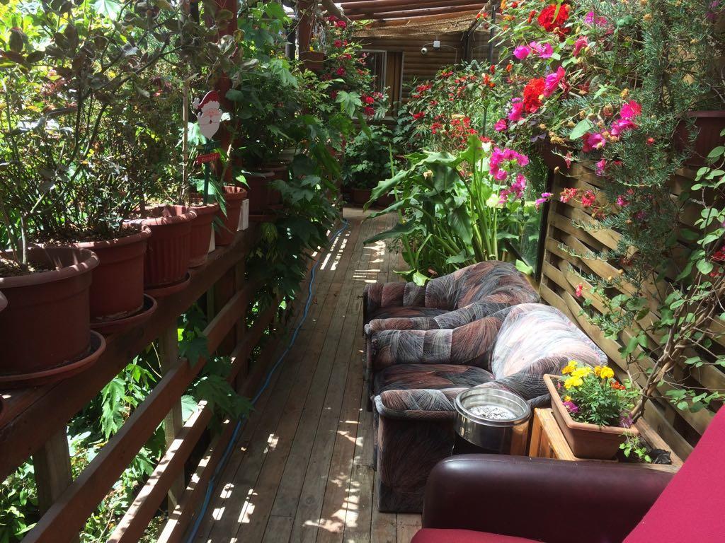 Hostal Mi Segundo Hogar กอนเซปซิออน ภายนอก รูปภาพ